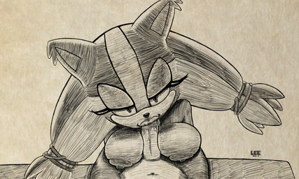 anthro breasts duo erection fellatio female genitals lips male male/female nipples oral penile penis sex leedoesit sega sonic_boom sonic_the_hedgehog_(series) sonic_the_hedgehog sticks_the_jungle_badger badger eulipotyphlan hedgehog mammal mustelid musteline 5:3 hi_res monochrome