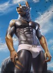 abs anthro athletic body_hair briefs briefs_only bulge clothed clothing happy_trail male muscular paint pecs pose sea seductive solo standing topless underwear underwear_only vacation water hnz silverturian canid canine canis domestic_dog mammal wolf