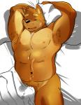 abs anthro armpit_hair bed blush bodily_fluids body_hair cum cum_on_chest cum_on_face furniture genital_fluids male muscular muscular_anthro muscular_male navel nude overweight overweight_anthro overweight_male pecs pubes solo wet_dream shiba-kenta kenta_shiba_(character) canid canine canis domestic_dog mammal shiba_inu spitz