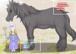 anthro biped black_body black_fur blonde_hair blue_eyes blush canid canine canis chiquitita_(shining) clothed clothing domestic_dog duo equid equine female feral fully_clothed fur hair hand_on_hip handwear hat headgear headwear holding_object horse information information_box j7w japanese_text long_hair looking_at_viewer male mammal measurements metric_unit mittens nude number outline_text_box quadruped robe sega shining_(sega) size_difference staff standing text text_box translated unit