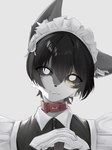 anthro black_hair clothing collar hair maid_uniform male solo uniform caninelatte felix_(caninelatte) canid canine mammal 3:4 bust_portrait hi_res portrait