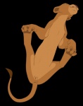 alpha_channel anatomically_correct anatomically_correct_genitalia anatomically_correct_pussy animal_genitalia animal_pussy disney feet felid feline_genitalia feline_pussy female feral genitals hindpaw holding_feet lion mammal nala_(the_lion_king) pantherine paws pussy solo the_giant_hamster the_lion_king toes