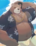 aloha_shirt anthro beach belly bottomwear brown_body brown_fur bulge clothing facial_scar fur male male_anthro missing_eye musclegut muscular muscular_anthro muscular_male navel nipples pattern_clothing pattern_shirt pattern_topwear pawpads pecs scar shirt shorts solo topwear cheddargeek3 mihoyo zenless_zone_zero ben_bigger bear mammal hi_res