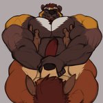 abs anthro anthro_on_anthro barazoku beard biceps big_muscles black_nose brown_beard brown_body brown_eyebrows brown_facial_hair brown_fur brown_hair claws closed_smile countershade_fur countershade_torso countershading deltoids duo erection eyebrows facial_hair finger_claws fingers fur genitals grey_background hair hand_on_chest huge_muscles humanoid_genitalia humanoid_hands humanoid_penis male male/male male_anthro monotone_background mouth_closed multicolored_body multicolored_fur muscular muscular_anthro muscular_arms muscular_male nude nude_anthro nude_male orange_body orange_fur pecs penis sex simple_background smile tan_body tan_countershading tan_fur teeth triceps whisker_spots white_body white_fur oldshep corey_seouk logan_kushner deer gulonine mammal mustelid musteline water_deer wolverine 1:1 colored_sketch digital_drawing_(artwork) digital_media_(artwork) sketch
