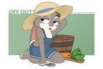 anthro barefoot blush carrot clothed clothing cotton_tail denim denim_clothing feet female food fur gardening_tools grey_body grey_fur hat headgear headwear kneeling no_bra off_shoulder overalls overalls_only plant solo sun_hat trowel vegetable wooden_bucket dm29 disney zootopia judy_hopps european_rabbit lagomorph leporid mammal oryctolagus rabbit