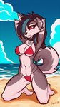 anthro beach bikini black_hair black_nose breasts clothing collar_tag countershading curved_tail day detailed_background dog_tags eyebrows eyelashes female floppy_ears fluffy fluffy_tail front_view fur grey_body grey_fur hair hand_behind_head highlights_(coloring) kneeling long_hair looking_at_viewer navel outside red_bikini red_clothing red_sclera red_swimwear sand side solo string_bikini summer swimwear tail two-piece_swimsuit white_eyes lw_88 mythology canid canid_demon canine canis demon domestic_dog hellhound husky mammal mythological_canine mythological_creature nordic_sled_dog spitz 2024 9:16 artist_name digital_media_(artwork) hi_res