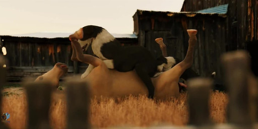 ambiguous_penetration anal anal_penetration animal_genitalia animal_penis bisexual bodily_fluids body_part_in_mouth bound canine_genitalia canine_penis cowgirl_position cum cum_inside cunnilingus equine_genitalia equine_penis erection fellatio female female/female female_penetrated feral feral_on_bottom feral_on_feral feral_penetrated feral_penetrating feral_penetrating_feral fivesome from_front_position fur genital_fluids genitals group group_sex interspecies intraspecies knot knotted_penis large_penetration looking_at_viewer male male/female male/male male_feral male_penetrated male_penetrating male_penetrating_female male_penetrating_male obscured_penetration on_bottom on_top oral oral_penetration penetration penile penile_penetration penis penis_in_mouth realistic_feral sex shepherd vaginal trioami260 canid canine canis collie domestic_dog equid equine herding_dog mammal pastoral_dog sheepdog 3d_(artwork) 3d_animation animated digital_media_(artwork) huge_filesize short_playtime sound webm