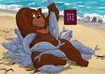 anthro beach belly brown_body brown_fur convenient_censorship fur humanoid_hands kemono male outside overweight overweight_anthro overweight_male seaside sitting solo text water wet raichoclub bear fish mammal marine 2016 censored japanese_text translated