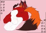 anthro clothing feet femboy foot_focus footwear fuzzy gesture hair hand_gesture humanoid_feet male pajamas plantigrade red_hair socks solo v_sign milko_(artist) christy_(kooshmeister) canid canine fox mammal hi_res