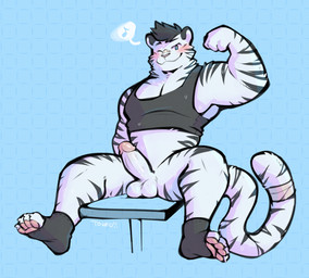 anthro balls bandage bandage_on_face bandage_on_nose bandaged_tail black_body black_fur black_hair black_stripes blue_eyes blush bodily_fluids bottomless bottomless_male clothed clothing dialogue erection flexing flexing_bicep fur genitals glans hair humanoid_genitalia humanoid_penis looking_at_viewer male male_anthro markings muscular musical_note musical_symbol one_eye_closed pawpads penis shirt simple_background sitting smile smiling_at_viewer solo spread_legs spreading striped_markings striped_tail stripes sweat symbol tail tail_markings tank_top topwear white_balls white_body white_fur white_penis wink winking_at_viewer tohfu felid mammal pantherine tiger 2022 hi_res signature