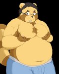 2013 alpha_channel anthro belly brown_body brown_fur bulge canid canine clothing eyewear fur glasses hi_res humanoid_hands kemono mahonex male mammal moobs navel nipples overweight overweight_anthro overweight_male raccoon_dog simple_background solo tanuki transparent_background underwear