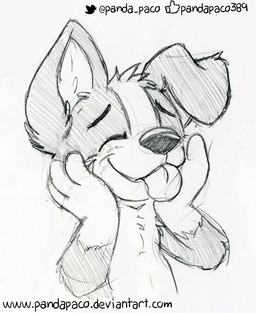 anthro closed_smile eyes_closed floppy_ears front_view happy male mouth_closed simple_background smile solo text tongue tongue_out young young_anthro young_male pandapaco roni_(imroni) border_collie canid canine canis collie domestic_dog herding_dog mammal pastoral_dog sheepdog 2017 bust_portrait monochrome portrait sketch url