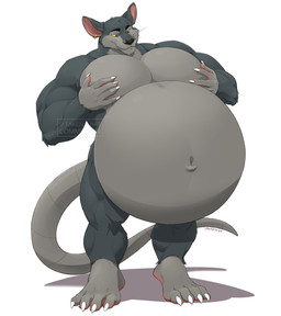 anthro belly big_belly black_nose blue_eyes ear_piercing fur grey_body grey_fur huge_belly male musclegut muscular navel nude pecs piercing solo tail whiskers yellow_sclera takesu mammal murid murine rat rodent hi_res