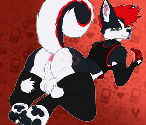 anthro anus armwear balls black_body black_clothing black_fur black_legwear black_stockings brown_eyes butt clothing curled_tail dyed_fur ear_piercing fur gaming_controller genitals grey_body grey_fur hand_print hand_print_on_butt highlights_(coloring) industrial_piercing kneeling legwear lying male mohawk mostly_nude multicolored_body multicolored_fur nude on_front pawpads paws perineum piercing pink_anus shirt solo stockings tail tank_top teeth tongue tongue_out topwear white_body white_fur cutefckngbunny sebastian_the_husky canid canine canis domestic_dog husky mammal nordic_sled_dog spitz absurd_res hi_res