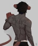 anthro athletic athletic_anthro athletic_male back_muscles biped black_hair ear_piercing ear_ring hair male piercing ring_piercing solo standing tattoo sgguzz mammal mouse murid murine rodent 2024 hi_res