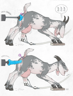 anal anal_penetration animal_genitalia animal_vulva anus big_teats bodily_fluids book breast_milking caprine_genitalia caprine_teats caprine_udders caprine_vulva dewclaw dildo dildo_in_vagina dildo_insertion double_penetration dripping drooling eyes_closed female female_feral feral floppy_ears fucking_machine fur genital_fluids genitals grey_body grey_fur hooves horn intelligence_loss lactating looking_pleasured machine milk milking_machine mottled mottled_anus mottled_body mottled_fur mottled_genitalia mottled_teats mottled_udders mottled_vulva object_in_ass open_mouth penetration pink_anus pink_teats pink_udders pink_vulva quadruped raised_tail saliva sex_toy sex_toy_in_ass sex_toy_in_vagina sex_toy_insertion short_tail side_view simple_background solo standing tail tail_anus teats text thought_bubble tongue udders vaginal vaginal_fluid_drip vaginal_fluids vaginal_fluids_on_ground vaginal_penetration vulva white_background white_body white_fur ecmajor chamomile_trouble bovid caprine domestic_goat goat mammal nubian_goat 2025 dated hi_res mixed_media story story_in_description url