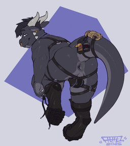 accessory anthro anus bag balls bent_over boots chest_harness claws clothing condom digitigrade digitigrade_footwear ear_piercing ear_ring facial_piercing footwear furgonomic_footwear furgonomics garter_straps genitals grey_body hair harness horn jockstrap looking_at_viewer looking_back lube_bottle male nose_piercing nose_ring perineum piercing presenting raised_tail ring_piercing rope septum_piercing septum_ring sexual_barrier_device shoes simple_background smile solo tail tail_accessory tail_bag thick_tail tying_shoes underwear skunkhotel kobold scalie absurd_res hi_res