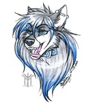 anthro ear_piercing female industrial_piercing piercing solo thehuntingwolf canid canine canis domestic_dog husky mammal nordic_sled_dog spitz portrait