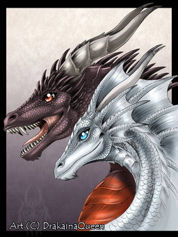 2_horns ambiguous_feral ambiguous_gender black_body black_scales blue_eyes duo fantasy feral frill_(anatomy) head_crest head_frill horn long_neck long_snout mouth_closed open_mouth red_eyes scales size_difference snout teeth text tongue ventral_scales white_body white_scales dqueen european_mythology mythology dorak_(character) rykaran_(character) dragon mythological_creature mythological_scalie scalie western_dragon 2010 3:4 artist_name digital_media_(artwork) english_description headshot_portrait portrait watermark