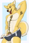 anthro armpit_hair body_hair clothing fur genitals male nude penis solo tail tongue tongue_out banzai.puppy canid canine mammal digital_media_(artwork) hi_res