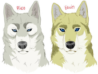 ambiguous_gender black_nose black_sclera blue_eyes duo eyebrows feral feralized fur grey_body grey_fur simple_background thick_eyebrows white_background white_body white_fur yellow_body yellow_fur mizzkie attack_on_titan erwin_smith rico_brzenska canid canine canis mammal wolf 2017