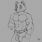 1:1 abs anthro balls_outline big_bulge big_muscles biped blush bulge canid canine clothed clothing detailed_bulge erection erection_under_bottomwear erection_under_clothing flushed fox genital_outline kastanja male male_anthro mammal monochrome muscular muscular_anthro muscular_male pecs penis_outline sideways-pointing_bulge sketch solo topless topless_anthro topless_male