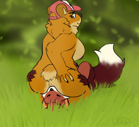 anal anus black_claws black_nose breasts brown_body brown_fur claws clothing cunnilingus dipstick_tail duo eyebrows facesitting female forest fur hat headgear headwear male male/female male_rimming_female markings nipples oral pink_anus pink_nipples plant red_body red_fur rimming sex side_boob simple_background sitting sitting_on_another tail tail_markings tan_body tan_fur tree vaginal white_body white_fur ferrissimulator aaron_o'reilly_(nomadicfox) bear canid canine fox mammal colored