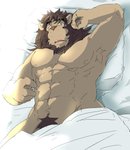 anthro barazoku bedding blanket humanoid_hands kemono lying male muscular muscular_anthro muscular_male pillow pubes solo train_(artist) felid lion mammal pantherine 2015