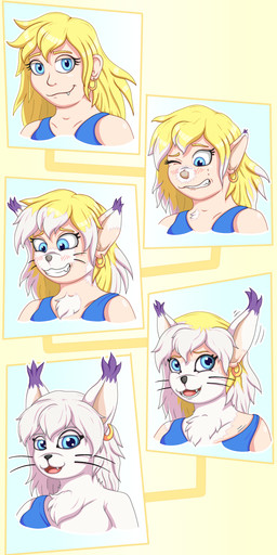 anthro black_nose black_whiskers blonde_hair blue_clothing blue_eyes blue_shirt blue_tank_top blue_topwear chest_tuft clothing cute_fangs dipstick_ears ear_growth ear_markings ear_tuft fangs female fur gold_ear_ring growth hair head_transformation long_whiskers multicolored_ears purple_ear_tips shirt snout snout_growth tank_top teeth topwear transformation transformation_sequence tuft whiskers white_body white_fur white_hair phyrexianrevoker bandai_namco digimon the_succubus_hunt meri_(gatomon_form) meri_(the_succubus_hunt) digimon_(species) domestic_cat felid feline felis gatomon human mammal absurd_res hi_res