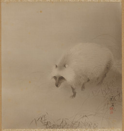 ambiguous_feral ambiguous_gender feral fur grass leaf mouth_closed paws plant quadruped raised_paw round_ears simple_background solo standing tail three-quarter_view whiskers konoshima_okoku public_domain canid canine mammal raccoon_dog 20th_century absurd_res ancient_art hi_res huge_filesize painting_(artwork) restricted_palette traditional_media_(artwork) traditional_painting_(artwork)