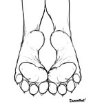 4_toes ambiguous_gender claws feet foot_focus foot_shot humanoid_feet pawpads plantigrade soles solo toe_claws toes bunnyfeet canid canine mammal monochrome