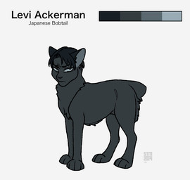 ambiguous_gender black_body black_fur black_hair black_nose feral feral_with_hair feralized fur grey_eyes hair looking_at_viewer simple_background solo text white_background silveyytm attack_on_titan levi_ackerman bobtail_cat domestic_cat felid feline felis japanese_bobtail mammal 2019 english_text