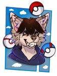 anthro brown_eyes brown_hair clothing facial_markings fur hair head_markings hoodie male markings pokeball solo striped_ears tan_body tan_fur topwear white_tipped_ears tootsiekatt nintendo pokemon patrick_(highlighterjelly) canid canine canis mammal wolf hi_res