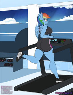 anthro anthrofied athletic athletic_anthro athletic_female athletic_wear big_breasts big_butt bottomwear bra breasts butt clothing dumbbell exercise female footwear gym gym_bottomwear gym_shorts jogging plantigrade shoes shorts sneakers solo sports_bra tailless treadmill underwear weights wings thehuskylord friendship_is_magic hasbro my_little_pony mythology rainbow_dash_(mlp) equid equine horse mammal mythological_creature mythological_equine pegasus pony absurd_res hi_res