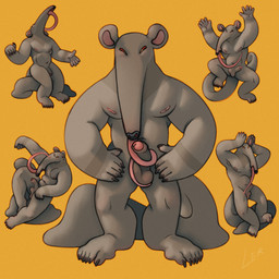 anthro autofellatio black_nose caricature claws dancing erection feet flaccid foreskin genitals glans group half-erect humanoid_feet long_tail long_tongue male masturbation musclegut muscular muscular_male nipples oral oral_masturbation pecs penile penile_masturbation penis pink_glans pink_nipples plantigrade silly_face simple_background tail taupe_body taupe_fur tongue tongue_out ravuer anteater mammal pilosan xenarthran 1:1 hi_res