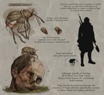 ambiguous_gender feral gore grass hair plant scar severed_body_part severed_head solo text rappenem arthropod beetle human insect mammal weevil english_text hi_res species_name