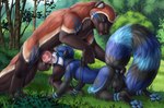 anthro anthro_on_feral anthro_penetrated anus balls bestiality big_dom_small_sub bodily_fluids butt cum cum_from_mouth cum_in_mouth cum_inside deep_throat dominant duo ejaculation erection fellatio feral feral_penetrating feral_penetrating_anthro genital_fluids genitals knot knotted_penis leaking_cum leash male male/male male_on_feral male_penetrated male_penetrating male_penetrating_male oral oral_penetration penetration penile penis sex size_difference fridaflame lokshan shun_shirai ailurid gulonine mammal mustelid musteline red_panda wolverine hi_res