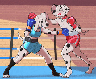 4_toes anthro anthrofied barefoot black_spots bodily_fluids bottomwear boxing boxing_gloves boxing_trunks bra claws clothing collar collar_tag digitigrade duo eyebrows feet female fight fighting_ring fur gut_punch handwear leg_markings male markings mouthguard neck_ring pain pawpads pink_pawpads punch shorts smile socks_(marking) sport sports_bra spots spotted_body spotted_fur sweat toeless_(marking) toeless_socks_(marking) toes underwear white_body white_fur dcheese 101_dalmatian_street 101_dalmatians disney dolly_(101_dalmatians) dylan_(101_dalmatians) canid canine canis dalmatian domestic_dog mammal 2026 digital_media_(artwork) hi_res brother_(lore) brother_and_sister_(lore) sibling_(lore) sister_(lore)