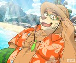 anthro beach belly big_belly brown_body brown_fur clothing eyewear food fruit fur glasses hat headgear headwear humanoid_hands kemono male melon outside overweight overweight_anthro overweight_male plant seaside solo straw_hat watermelon seandemon lifewonders tokyo_afterschool_summoners volos_(tas) bear mammal 2021 hi_res