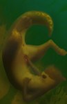 anus balls feral genitals male masturbation nude penis small_penis solo tail_anus underwater water mc1 mammal mustelid otter absurd_res hi_res