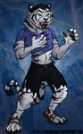 after_transformation angry anthro black_body black_bottomwear black_clothing black_fur black_shorts black_stripes blue_background blue_clothing blue_eyes blue_shirt blue_topwear bottomwear claws clothing ears_back fangs footwear fur male open_mouth pawpads paws pivoted_ears pupils shirt shoes shorts simple_background snarling solo species_transformation stripes teeth topwear torn_bottomwear torn_clothing torn_shirt torn_shoes torn_shorts torn_topwear transformation white_body white_fur jakkal felid humanoid mammal pantherine tiger werecreature werefelid werepantherine weretiger hi_res