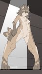 anthro breasts brown_body brown_fur chest_tuft featureless_breasts featureless_crotch female female_anthro fluffy fur gloves_(marking) hair kemono leg_markings markings nude socks_(marking) solo standing tuft wide_stance yellow_eyes kiukiu ney_(kiukiu) canid mammal absurd_res hi_res