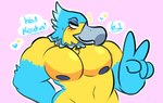 anthro beak big_pecs black_nipples blue_body blue_feathers blush feathers gesture hand_gesture heart_symbol male multicolored_body multicolored_feathers muscular muscular_male navel nipples pecs solo v_sign white_body white_feathers yellow_body yellow_feathers clawzetto animal_crossing nintendo keaton_(animal_crossing) accipitrid accipitriform avian bird eagle digital_media_(artwork)