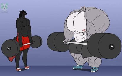abs addeus anthro barbell big_muscles big_pecs black_body black_fur black_hair black_nose bottomwear clothing duo exercise footwear fur grey_body grey_fur hair huge_arms huge_muscles huge_pecs huge_thighs hyper hyper_muscles male male/male markings muscular muscular_arms muscular_thighs nipples pecs red_eyes red_markings shoes shorts size_difference sneakers thick_thighs weightlifting white_body white_fur workout pearypanda alexzandr_sokolov deus_schnauwitzer canid canine canis domestic_dog mammal wolf