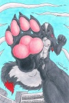 animal_genitalia anthro balls feet foot_focus fully_sheathed genitals hindpaw low-angle_view macro male nude pawpads paws sheath solo stomping tail worm's-eye_view forceswerwolf skunkhase hybrid lagomorph leporid mammal mephitid rabbit skunk skunny 2010 colored_pencil_(artwork) traditional_media_(artwork)