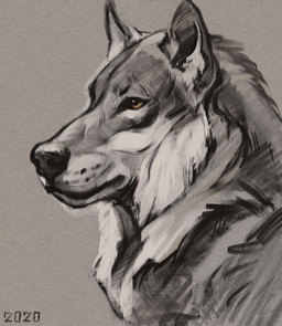 black_eyes feral fluffy fur grey_background grey_body grey_fur simple_background solo whisker_spots white_body white_fur yellow_eyes alexpahomov canid canine canis mammal wolf 2020 digital_drawing_(artwork) digital_media_(artwork) hi_res