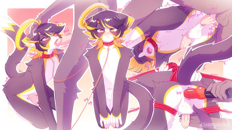anal anal_penetration animal_genitalia animal_penis anthro backsack balls bdsm biped black_body black_fur black_hair blush blush_lines bodily_fluids bondage bound claws collar collar_only countershade_face countershade_torso countershading dildo dildo_in_ass dildo_insertion duo erection feline_genitalia feline_penis fellatio femboy fur genitals green_highlights grey_body grey_fur hair hand_on_head handjob handjob_while_penetrating highlights_(coloring) kemono kneeling kneeling_oral_position leash leashed_collar looking_at_another looking_at_partner looking_at_viewer looking_pleasured male male/male male_penetrated male_penetrating male_penetrating_male multicolored_body nude object_in_ass open_mouth oral penetration penile penile_penetration penile_spines penis penis_in_ass restraints rope rope_bondage saliva saliva_on_tongue sex sex_toy sex_toy_in_ass sex_toy_insertion sheath short_hair tongue toying_partner two_tone_body white_body white_countershading white_fur sunnynoga domestic_cat felid feline felis mammal scottish_fold 16:9 2026 hi_res multiple_scenes widescreen