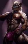 abs anthro biceps big_bulge biped brown_body brown_eyes brown_fur bulge clothing detailed_bulge ear_piercing fur jockstrap male male_anthro multicolored_body multicolored_fur muscular muscular_anthro muscular_male nipple_piercing nipples pecs piercing pink_nipples pink_nose pose purple_clothing purple_jockstrap purple_underwear serratus snaggle_tooth solo spotlight spotlight_beam underwear white_striped_fur bleakcat roberto_flores hog-nosed_skunk mammal mephitid skunk hi_res pinup