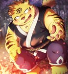 anthro blush bottomwear bulge clothing detailed_background fire humanoid_hands male night outside pants solo hinami the_spicy_ninja_scrolls benkei_(the_spicy_ninja_scrolls) felid mammal pantherine tiger 2019