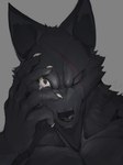 bodily_fluids crying kemono male solo tears wolfanine canid canine canis mammal wolf 3:4 absurd_res hi_res